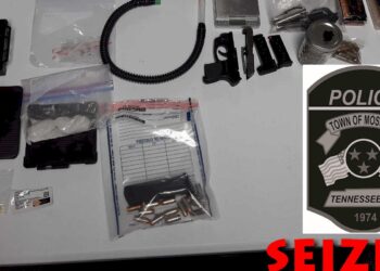 Mosheim Police Confiscate Drugs, Weapon During Arrest