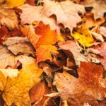 Mt. Pisgah Church Hosts Fall Festival