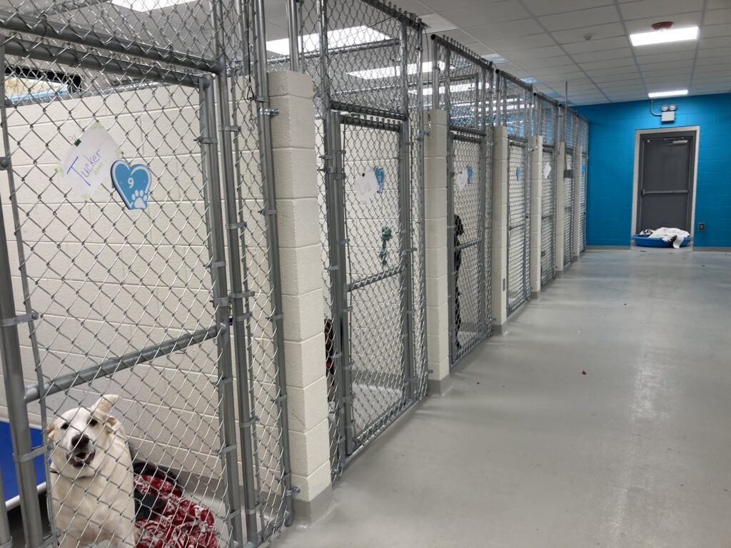 Greeneville Greene County Humane Society Opening At New Facility