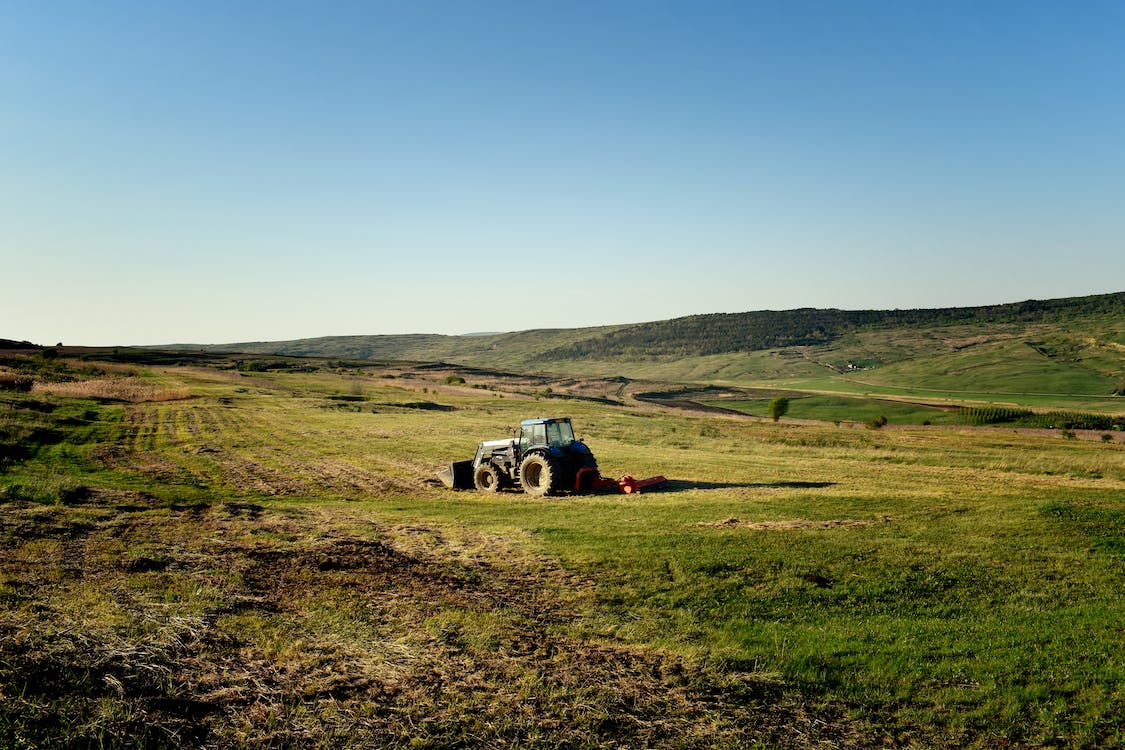 Farm Service Agency Crop Report Deadline