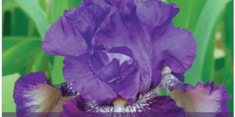 Special Event Requests Approved For Iris Festival This May