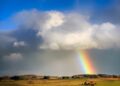 Rain Fall Brings Continued Relief To Fields And Pastures