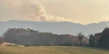 Tweed Fire