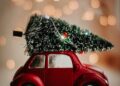 Holiday Schedule