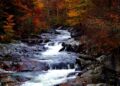 2024 Free Entrance Fee Days Into National Parks