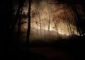 Fire On Greene Mountain