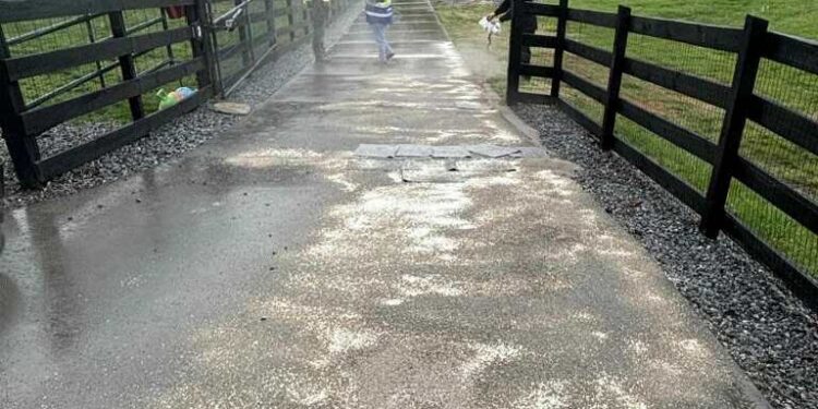 Driver Backs Over Neighbor’s Mailbox, Punctures Fuel Line