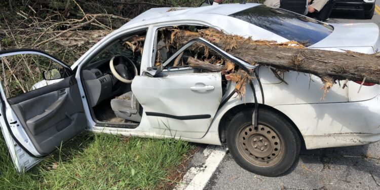 UPDATE:  Tree Penetrates Car In Houston Valley Road Accident