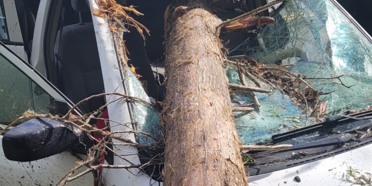 UPDATE:  Tree Penetrates Car In Houston Valley Road Accident