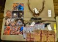 Tennessee Man Convicted Of Poaching Elk At North Cumberland Wildlife Area