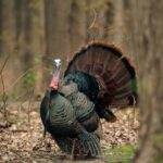 Turkey Shoot Fundraiser