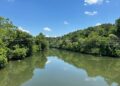 Nolichucky River