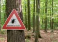TDH Urges Measures To Prevent Tick And Mosquito-Borne Diseases