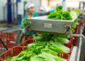 Over $5.5 Million Awarded To Strengthen Food Supply Chain Infrastructure