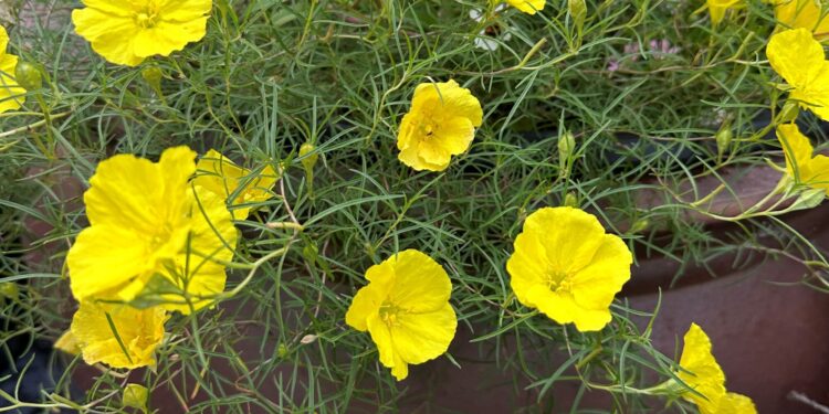 Photo Credit: Jason Reeves