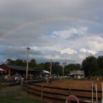 Free Horse Fun Show