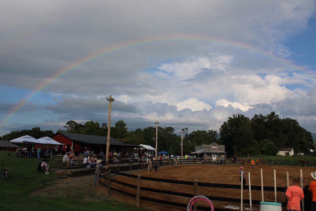 Free Horse Fun Show