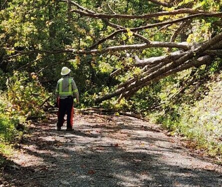 USDA Forest Service Closes Northern Zone of Cherokee National Forest Temporarily