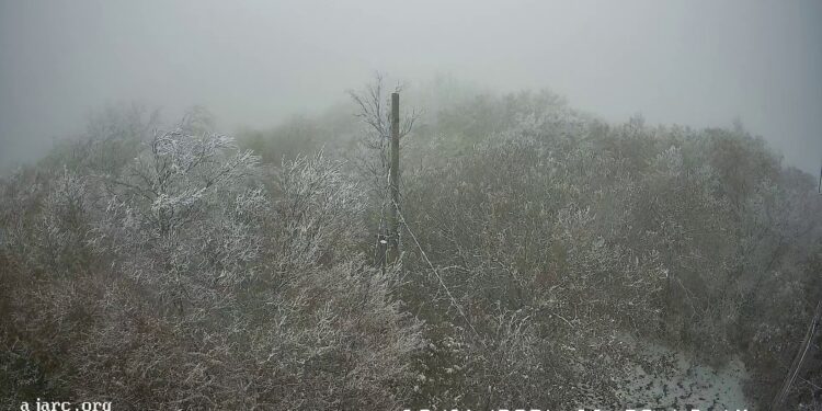 Snow On Camp Creek Bald
