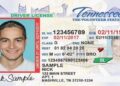 Drivers License Renewal Office Returns To Greene County Annex