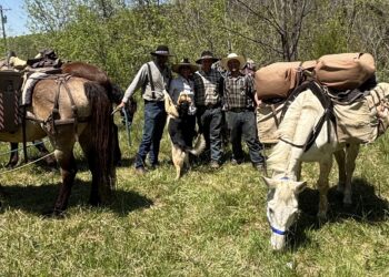Family Sets Out For An Adventure To Live, Not Just Exist