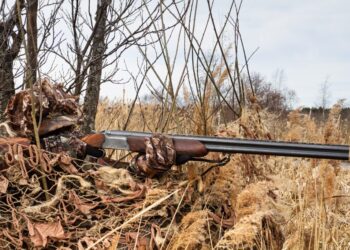 Spring Turkey Harvest Statistics and Duck Blind Application Period, TWRA