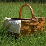 Nolachuckey Ruritan Picnic