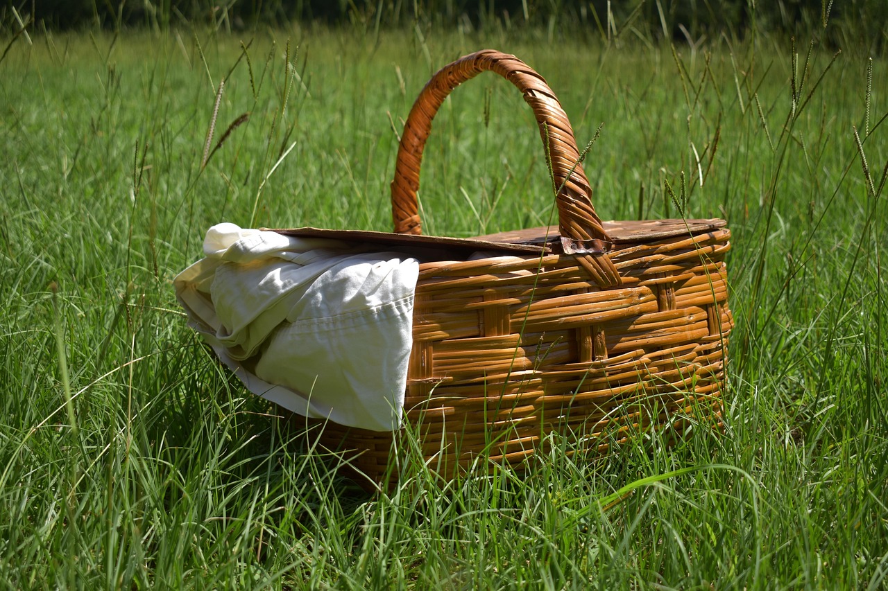 Nolachuckey Ruritan Picnic