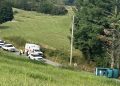 One Injured When Vehicle Collides With Deer