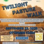 Twilight Pasture Walk