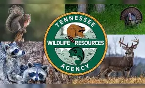 2025-26 Gun Hunting Season For Deer Opens November 22