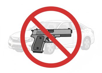 Woman Arrested For Having A Handgun During A Felony, Other Charges