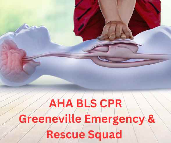 American Heart Association BLS CPR