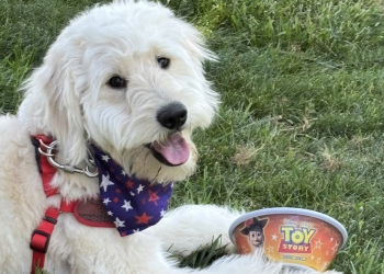 Whiteaker Rader urges his furry friends to get their updated rabies shots.