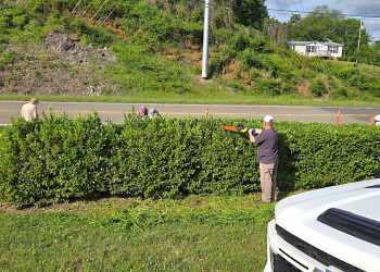 Members of the local VFW spruced of the Elbert Kinser memorial near Kinser bridge during the National VFW Day of Service on Saturday.