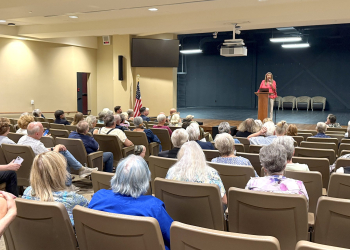 Rep. Gloria Johnson speaks to members of the Greene County Democratic Party during the organization's meeting Thursday night.
