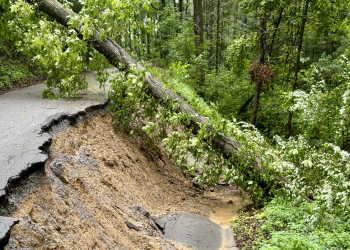 The campground in Paint Creek Recreation  is now closed after a section of Lower Paint Creek Road collapsed during recent heavy rains and flooding. The campground at Horse Creek Recreation Area is also closed after the weekend's weather.