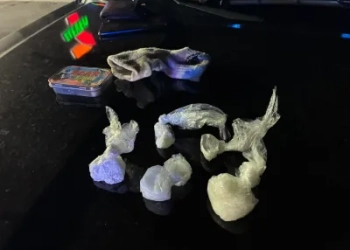 Mt. Juliet Police say these are the drugs recovered following the Friday night arrest. (Photo from mjpdnews.org)